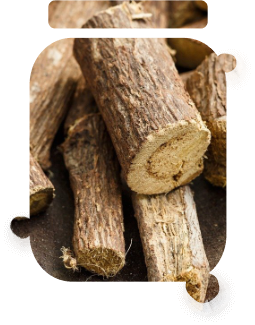 Licorice root